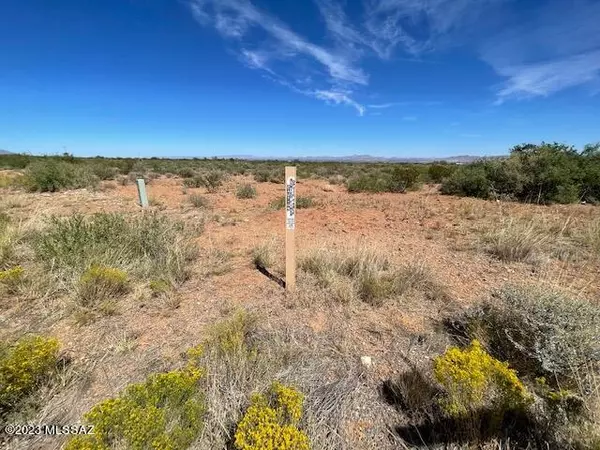 San Simon, AZ 85632,39 acres S Foothills Road #9