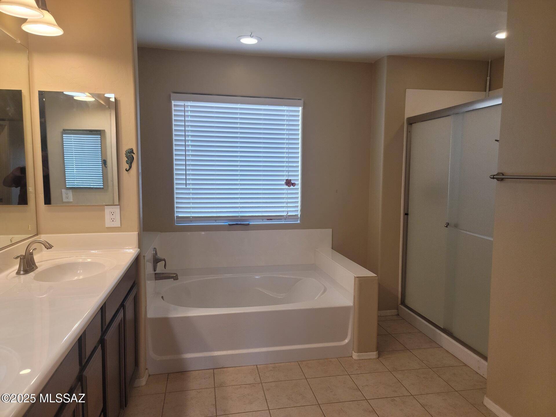Sahuarita, AZ 85629,984 E Stronghold Canyon Lane