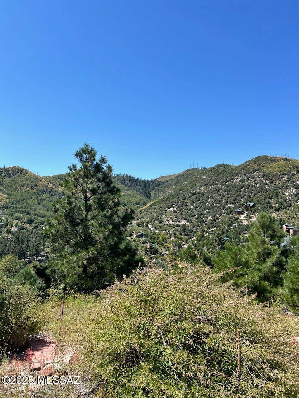 Mt. Lemmon, AZ 85619,12802 N Ray Avenue #12/17