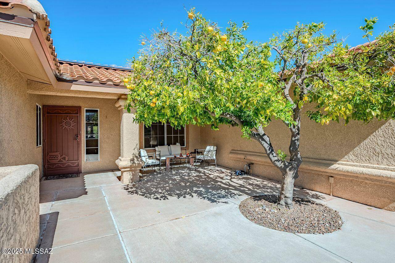 Oro Valley, AZ 85755,14679 N Windshade Drive