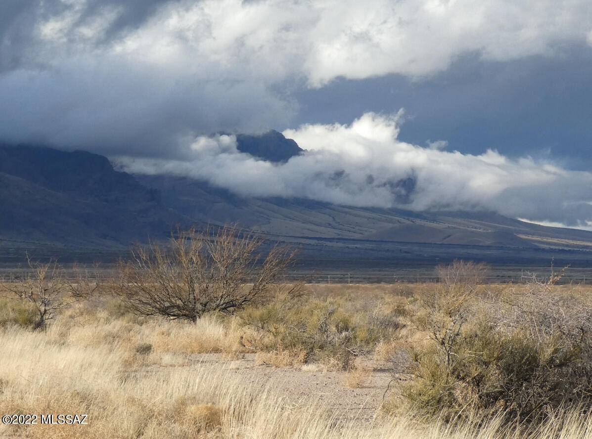 Portal, AZ 85632,9001 E Emerald Road #87