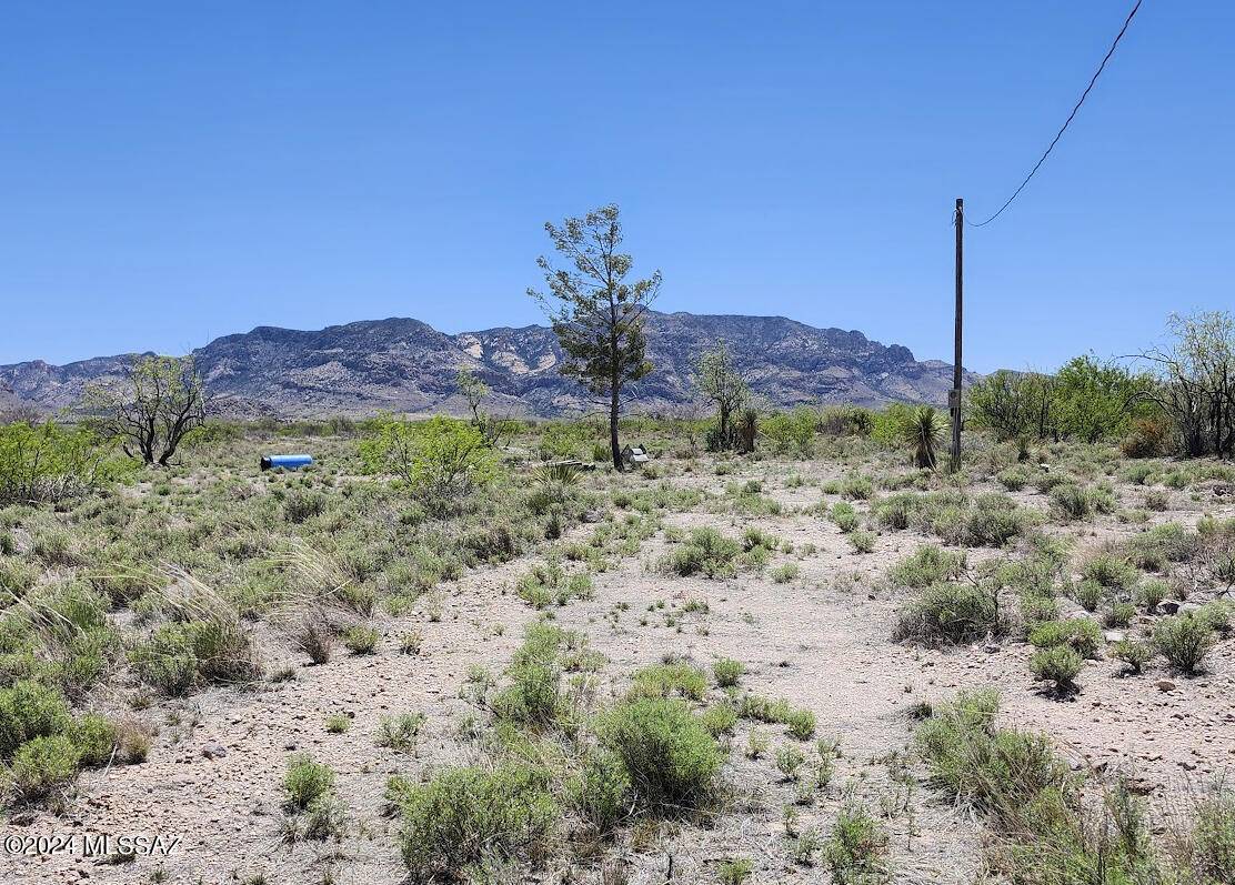 9001 E Emerald Road #87, Portal, AZ 85632