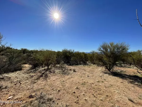 Tucson, AZ 85736,15879 Bolo W Place #247
