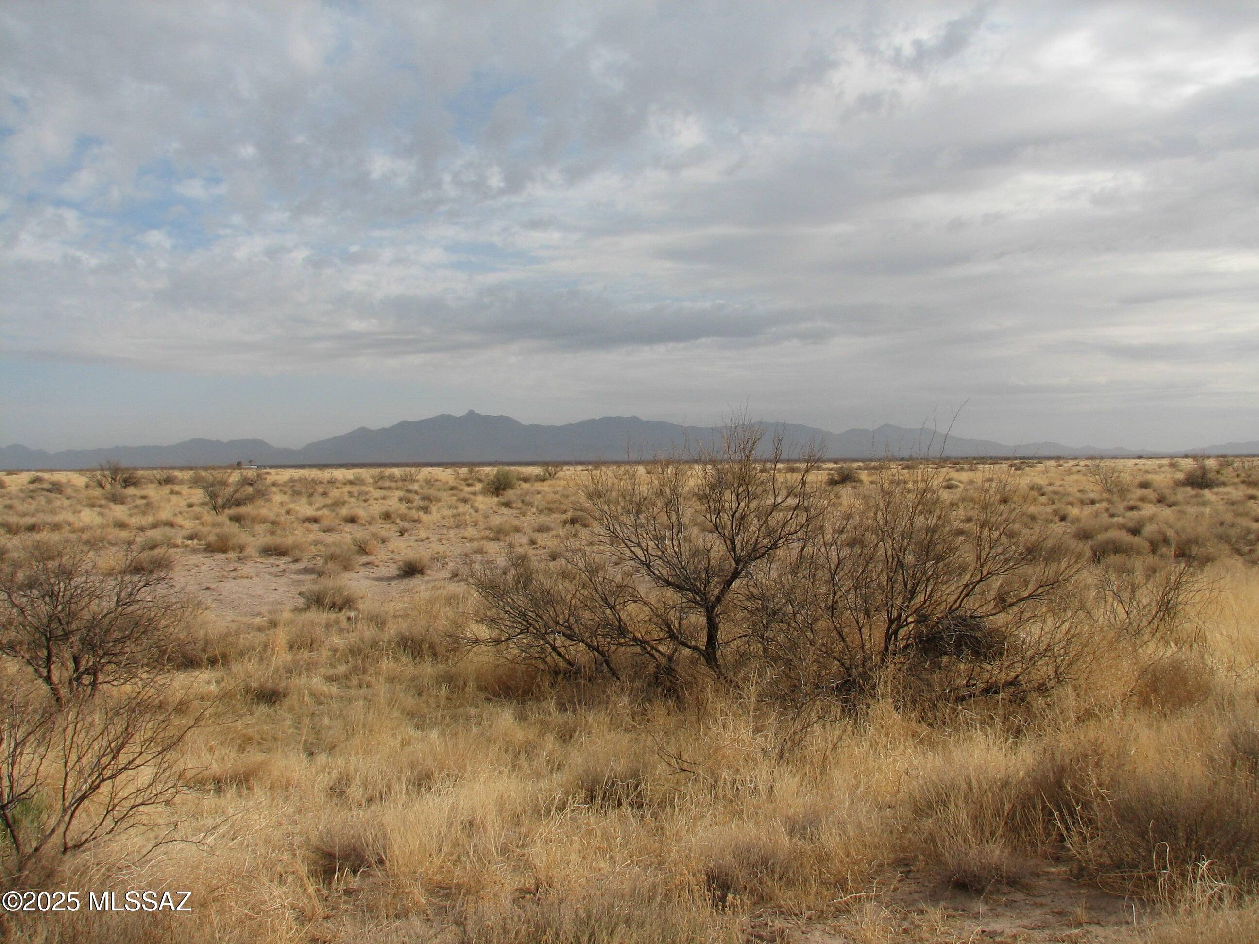 Willcox, AZ 85643,97.5 Acre E Parker Ranch Road