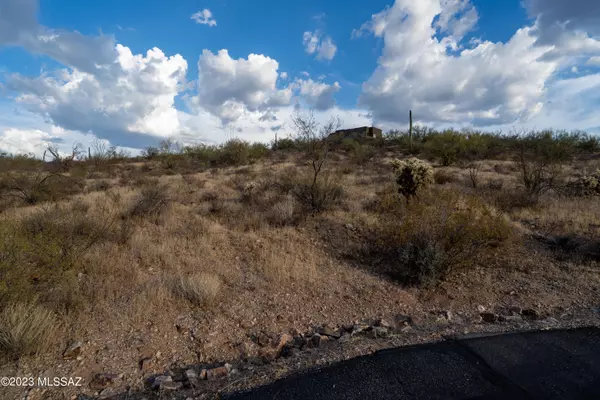 Tucson, AZ 85743,5575 W Tucson Mountain Place #53