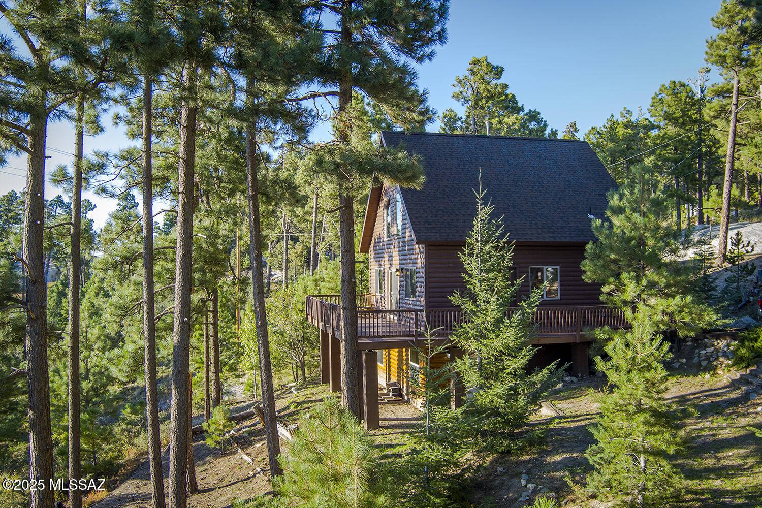 12670 N Loma Linda Ext Road, Mt. Lemmon, AZ 85619