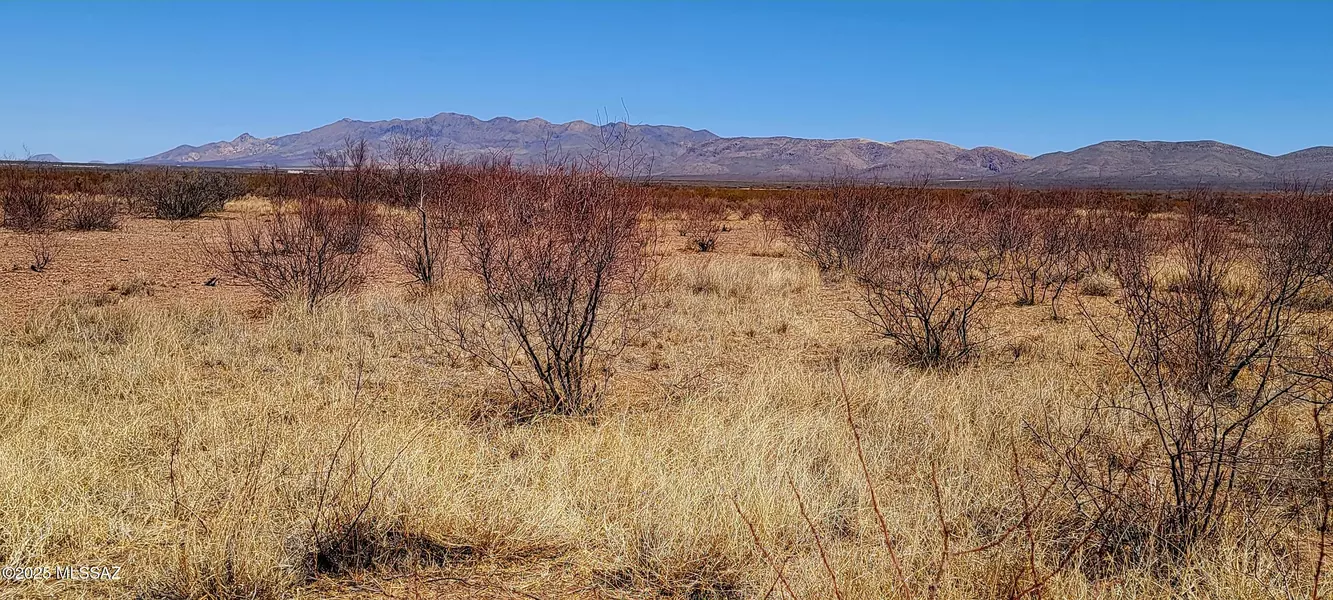 Lot 12/13A E Whitaker Lane #12-13A, Douglas, AZ 85607