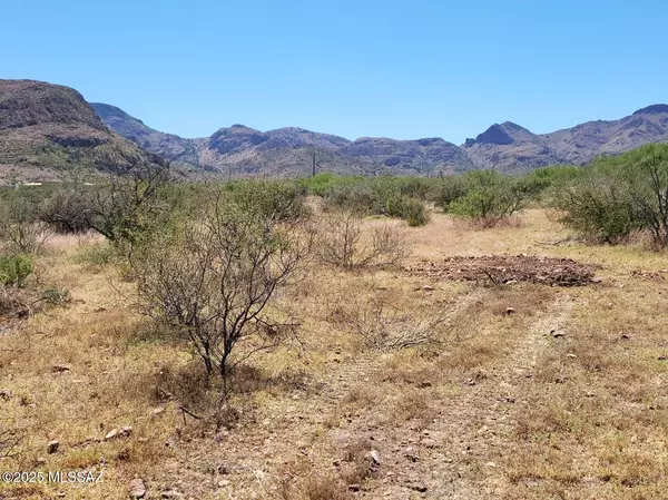 Tubac, AZ 85646,TBD Trujillo Trail  #0