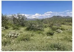 Rio Rico, AZ 85648,824 Morning Star Dr.  #88