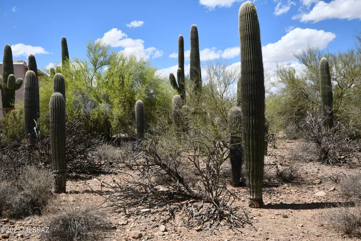 Tucson, AZ 85745,4840 N Avenida Corto  #6