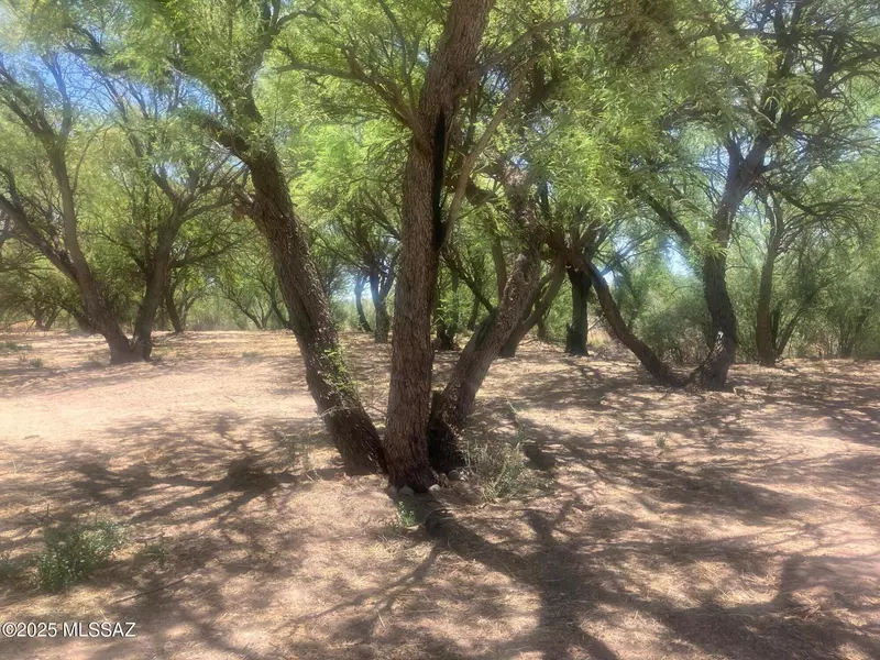 1015 W Patton Street, St. David, AZ 85630