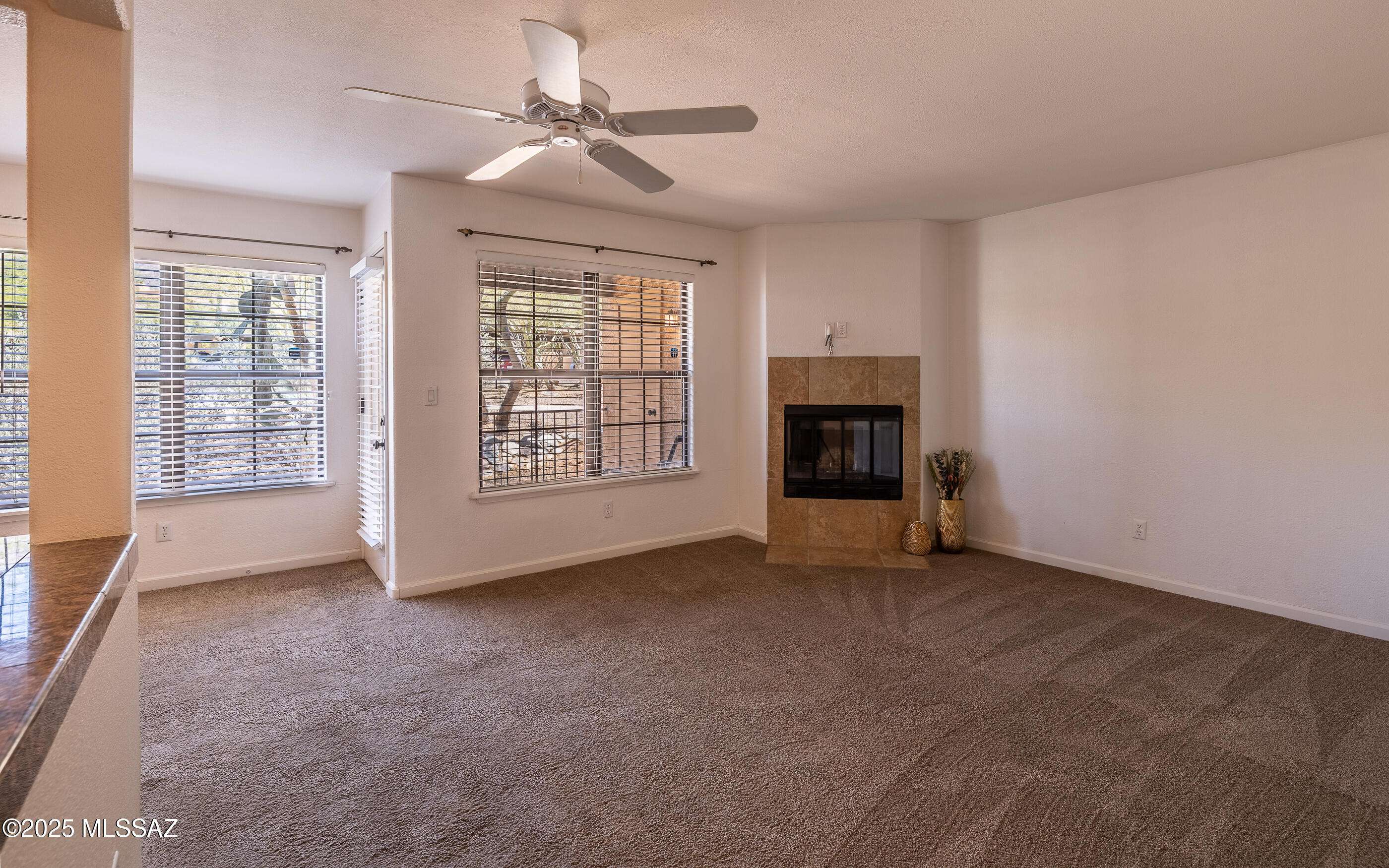 Tucson, AZ 85718,6651 N Campbell Building 2920 Avenue #APT 133