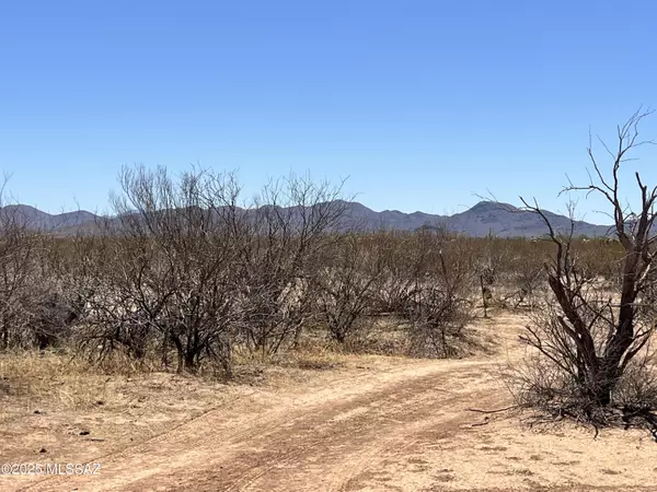 TBD W FLYBUOY RANCH Road, Marana, AZ 85653