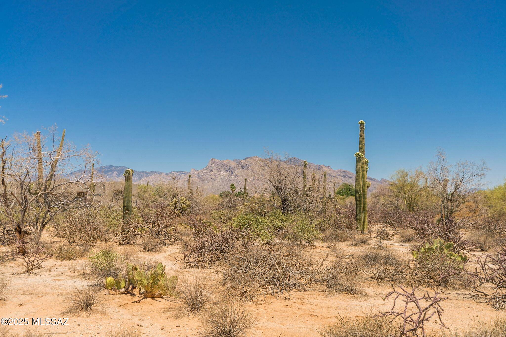Tucson, AZ 85742,8868 N National Sky Place #9