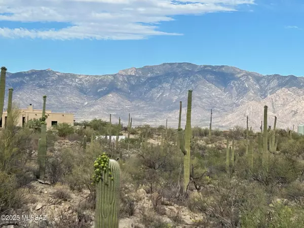 Tucson, AZ 85755,13935 N Como Drive