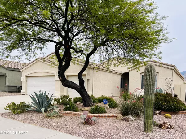 371 W Sacaton Canyon Drive, Oro Valley, AZ 85755