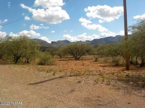 Rio Rico, AZ 85648,137 Circulo Milpas