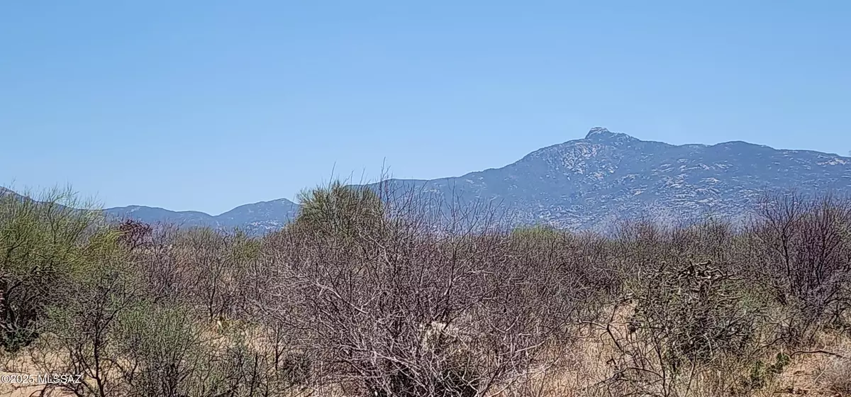 Tucson, AZ 85747,15625 E McKenzie Wash Road