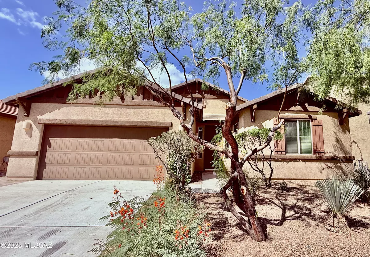 Tucson, AZ 85743,8361 N Mountain Stone Pine Way
