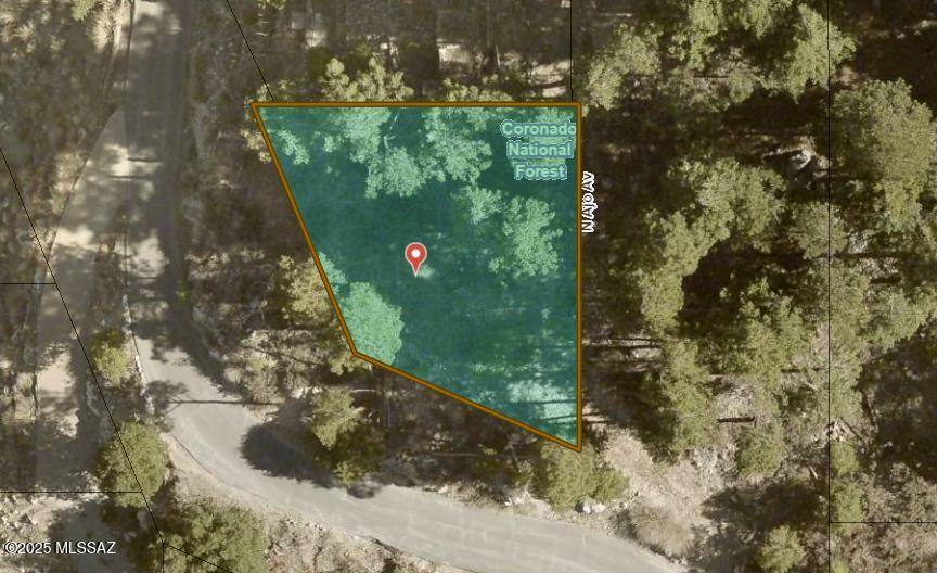 12780 N Loma Linda Ext Road #19, Mt. Lemmon, AZ 85619