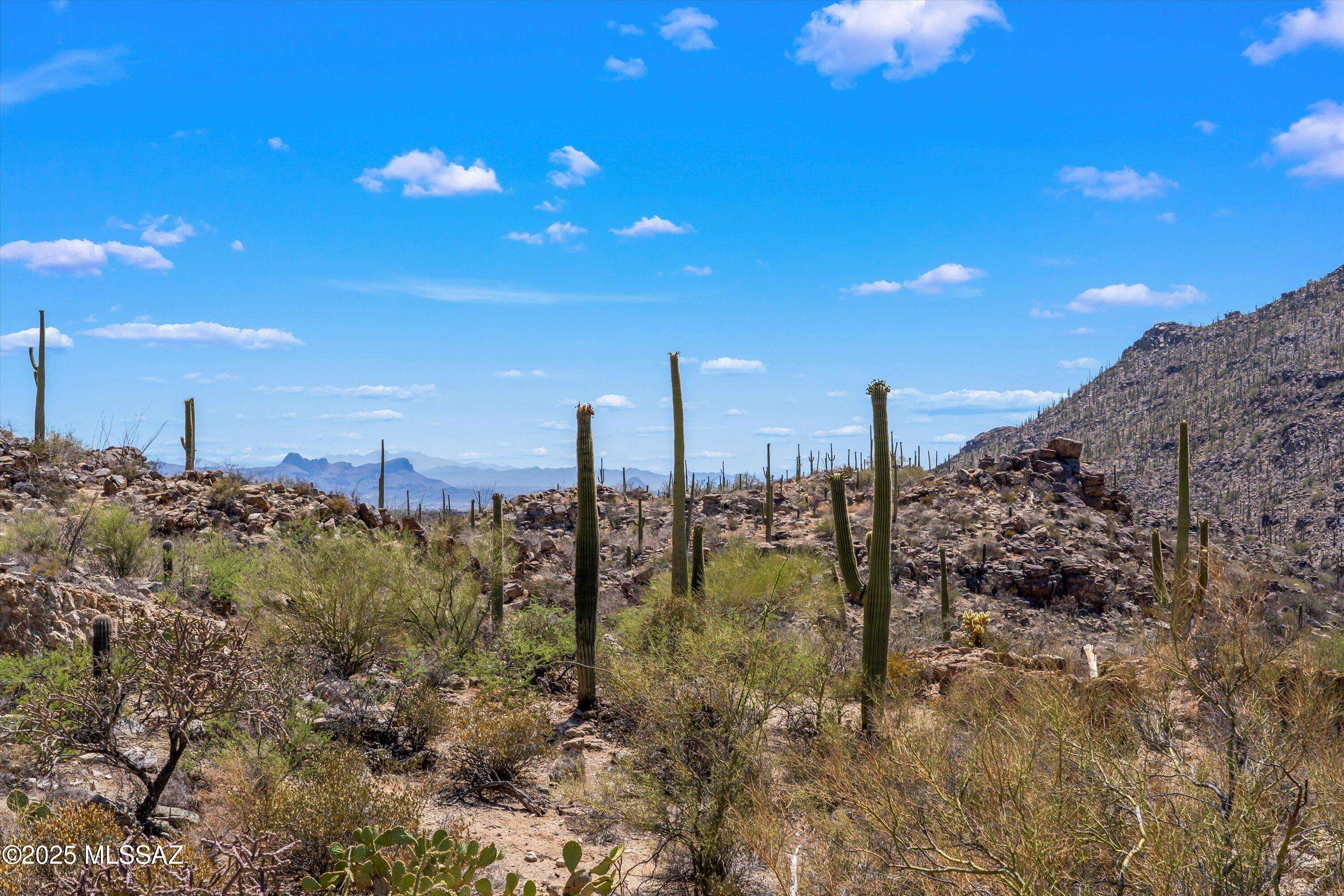 Marana, AZ 85658,13960 N Jims Deadend Place #33