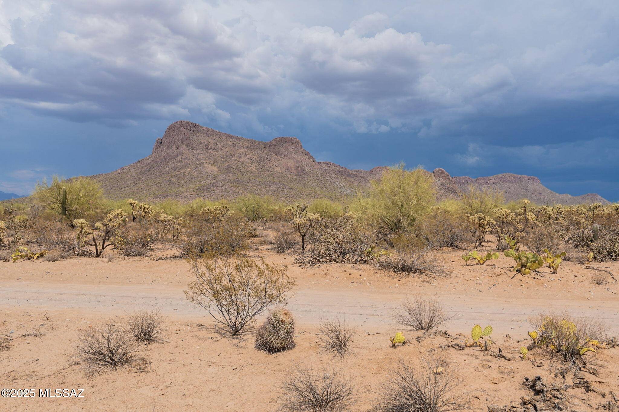 Tucson, AZ 85743,7305 N Van Ark Road #5