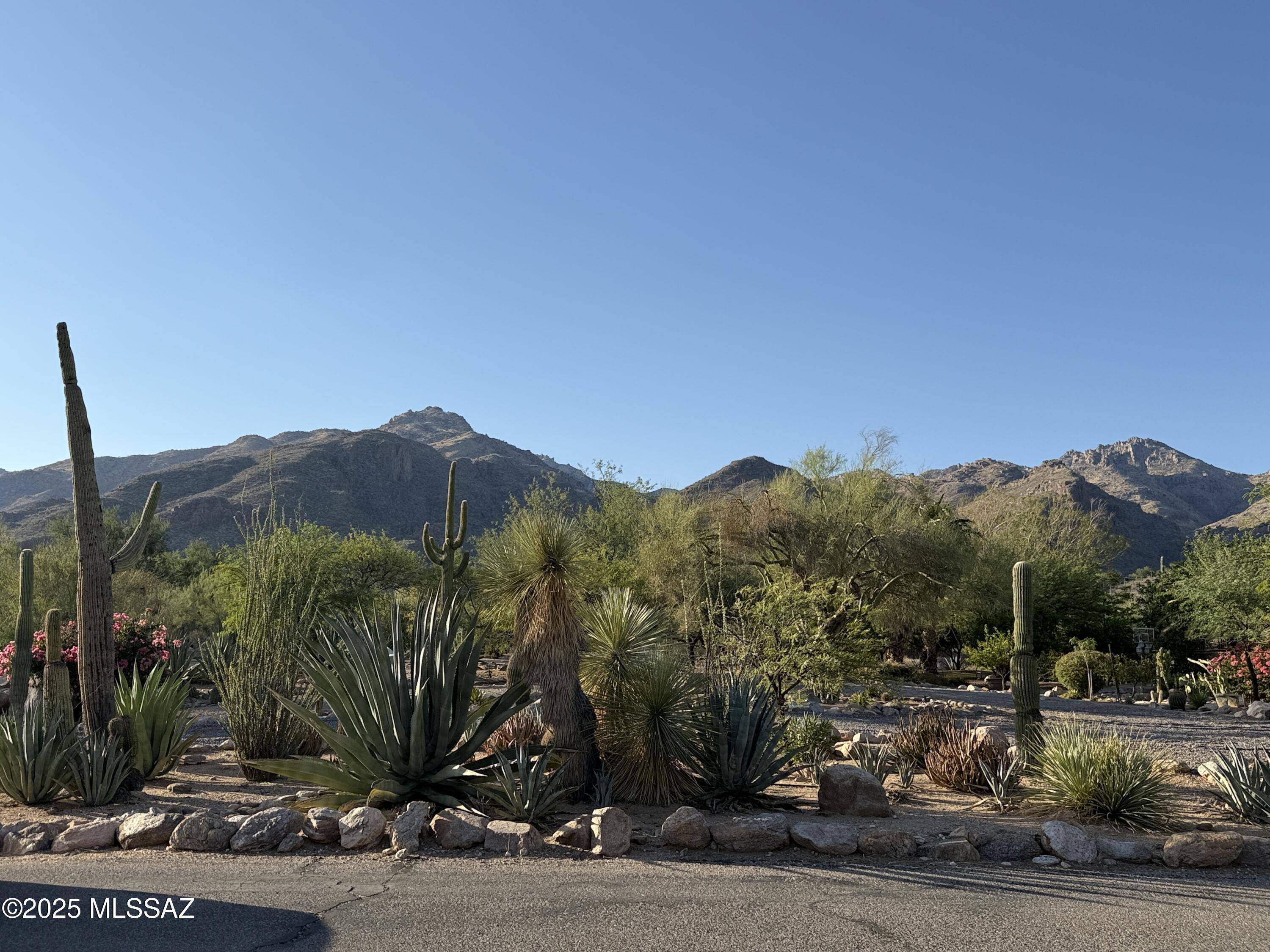 Tucson, AZ 85750,6080 N Sabino Shadow Lane