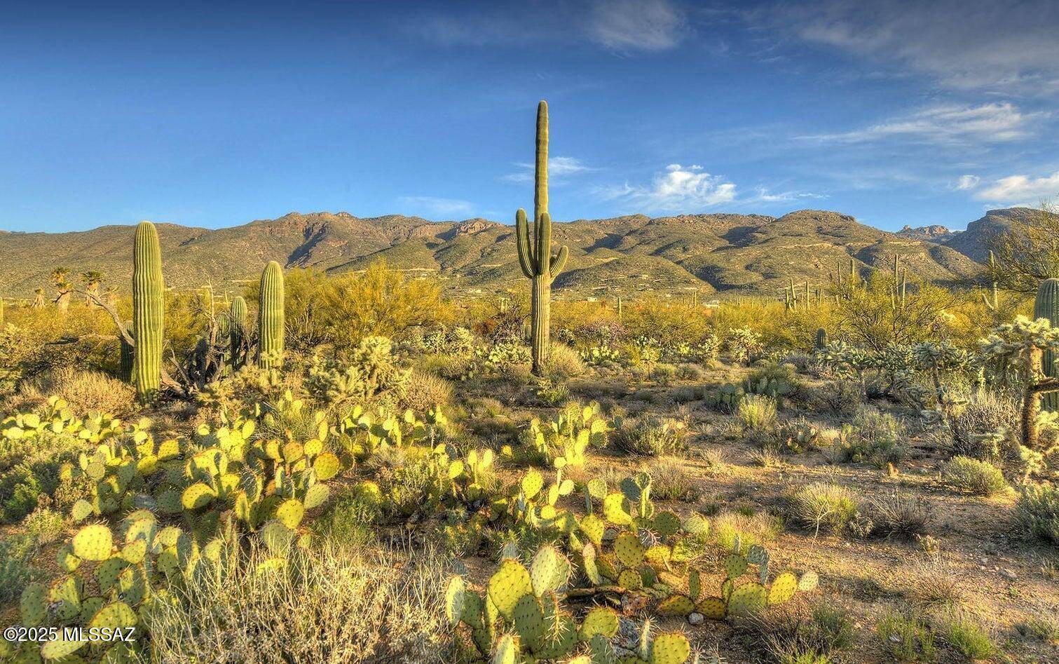 4503 Larkspur Road #0, Tucson, AZ 85749