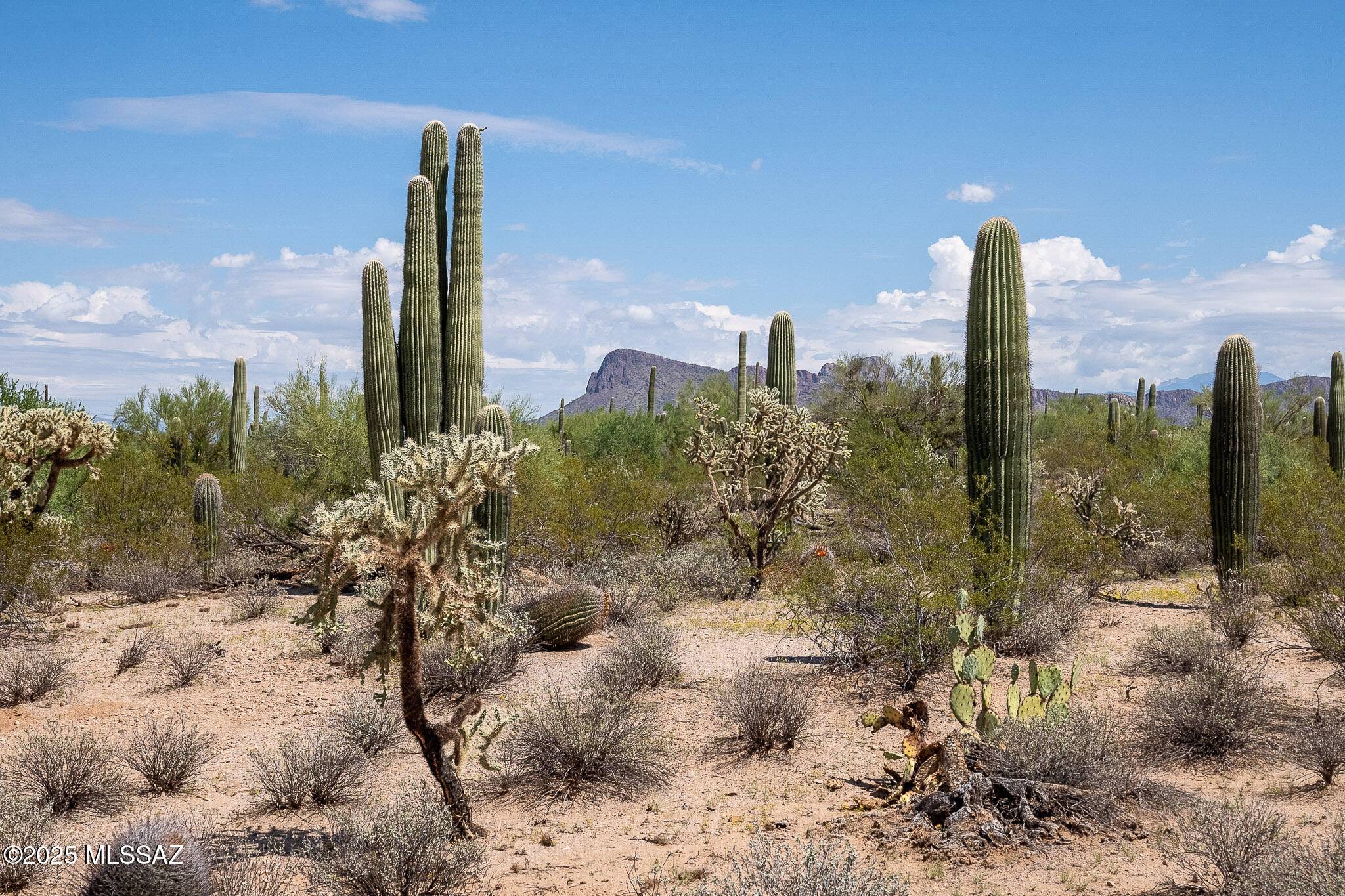 11690 W Rudasill Road #0, Tucson, AZ 85743