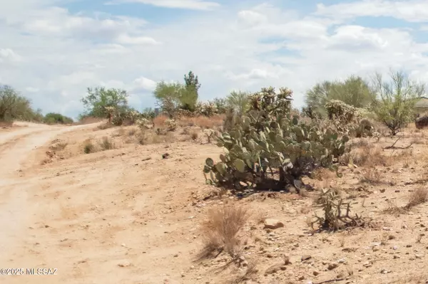 Tucson, AZ 85736,14943 W Parkin Lane