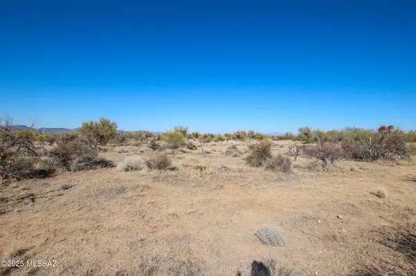 Tucson, AZ 85736,15949 W Diamond Bell Ranch Road #8