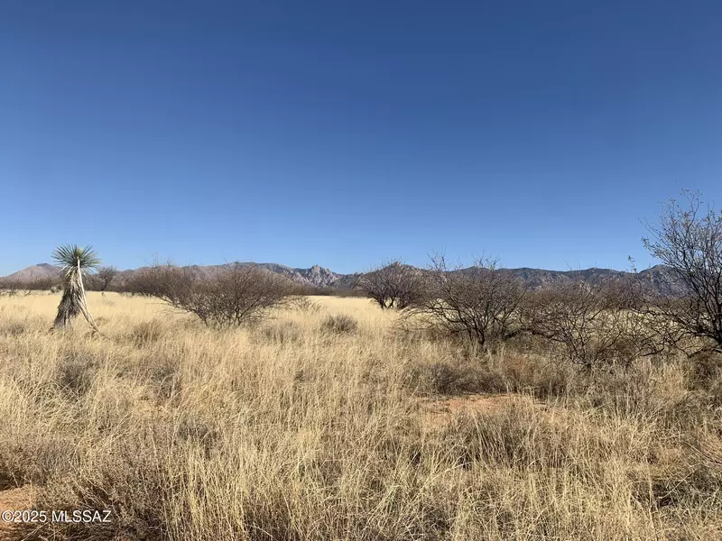TBD S De Niza  #48, St. David, AZ 85630