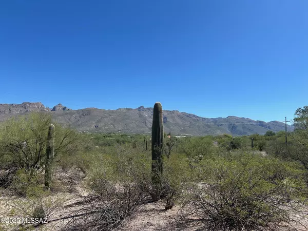 Tucson, AZ 85749,9931 E Mount Pleasant Drive #13