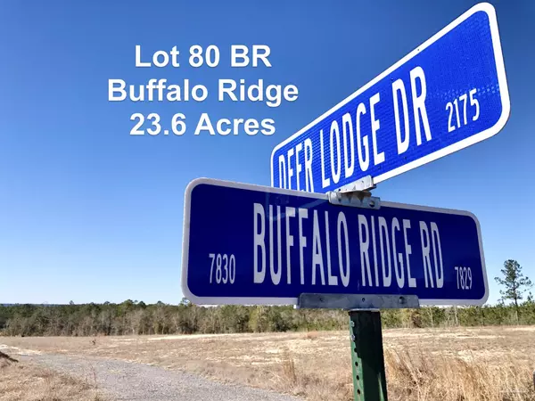 Lot 80 BR Deer Lodge Dr, Pace, FL 32571