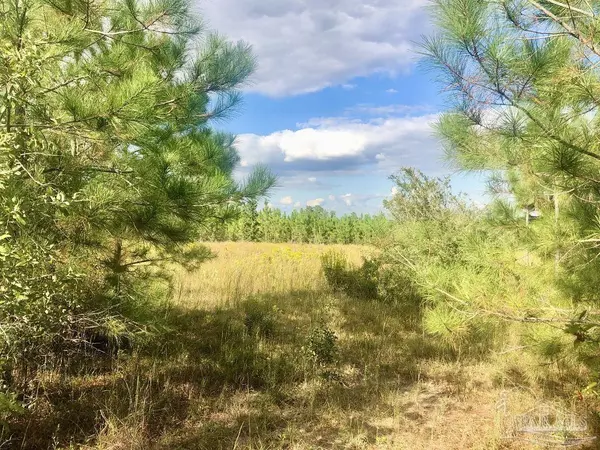 Pace, FL 32571,Lot 4-SW Gin Rd