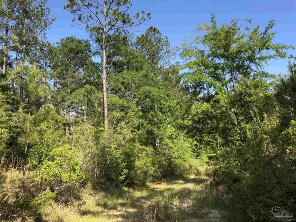 Pace, FL 32571,Lot 74 BR Buffalo Ridge Dr