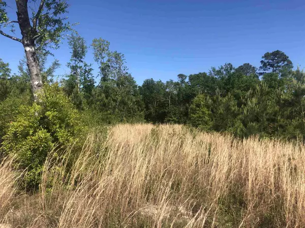 Lot 65 BR Buffalo Ridge Rd, Pace, FL 32571