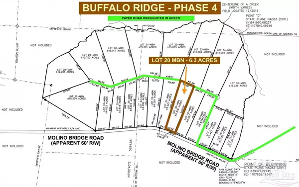 Pace, FL 32571,Lot 20 MBN Molino Bridge Rd