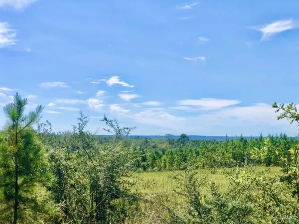 Pace, FL 32571,Lot 21 MBN Molino Bridge Rd