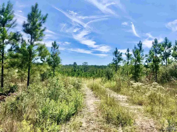 Pace, FL 32571,Lot 21 MBN Molino Bridge Rd