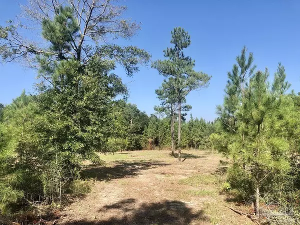 Pace, FL 32571,Lot 1 BS Buffalo Ridge Rd