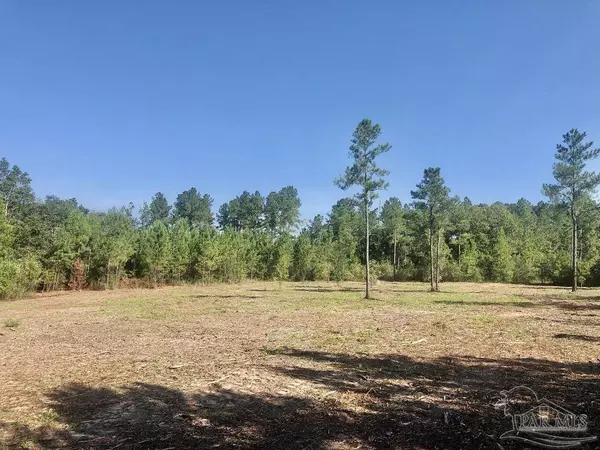 Pace, FL 32571,Lot 1 BS Buffalo Ridge Rd