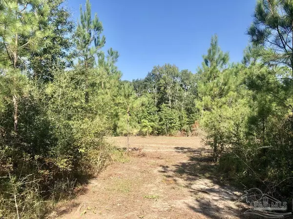 Pace, FL 32571,Lot 2 BS Buffalo Ridge Rd