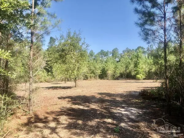 Pace, FL 32571,Lot 3 BS Buffalo Ridge Rd