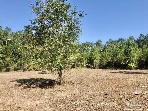 Pace, FL 32571,Lot 3 BS Buffalo Ridge Rd