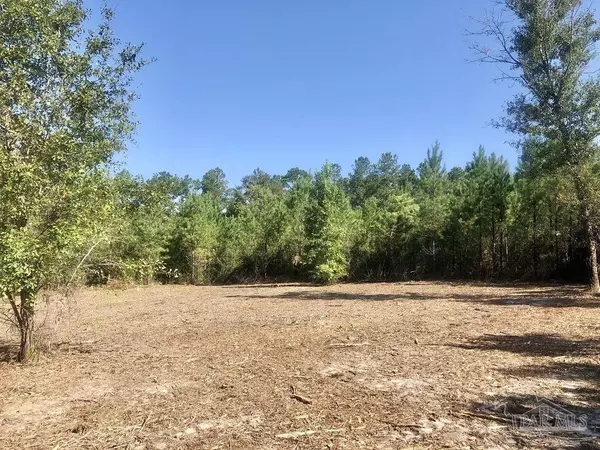 Pace, FL 32571,Lot 3 BS Buffalo Ridge Rd