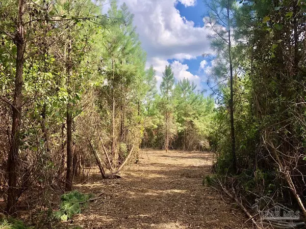 Pace, FL 32571,Lot 21 BS Buffalo Ridge Rd