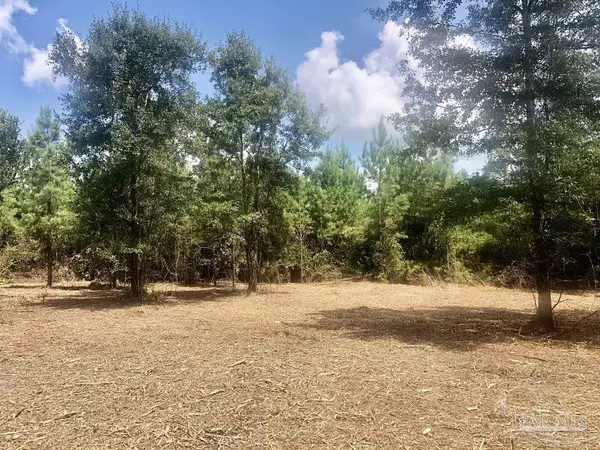 Pace, FL 32571,Lot 22 BS Buffalo Ridge Rd