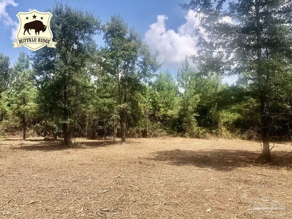 Pace, FL 32571,Lot 22 BS Buffalo Ridge Rd