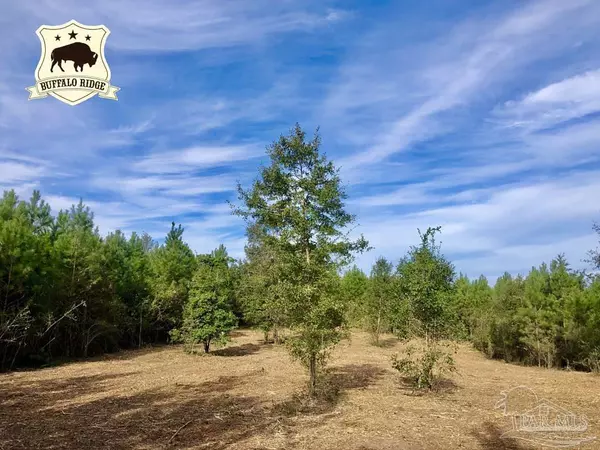 Lot 6 BS Buffalo Ridge Rd, Pace, FL 32571